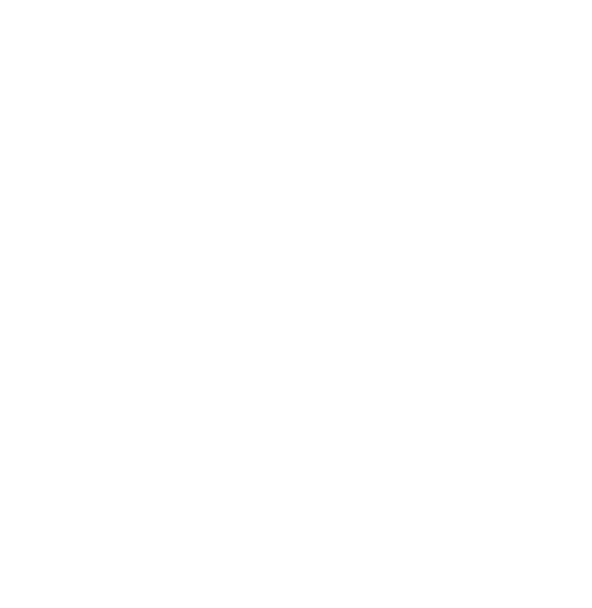 logo oiseau origami alix&co 