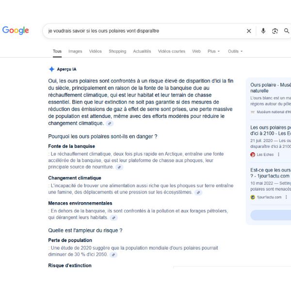 ai_overviews_fonctionnement (2)