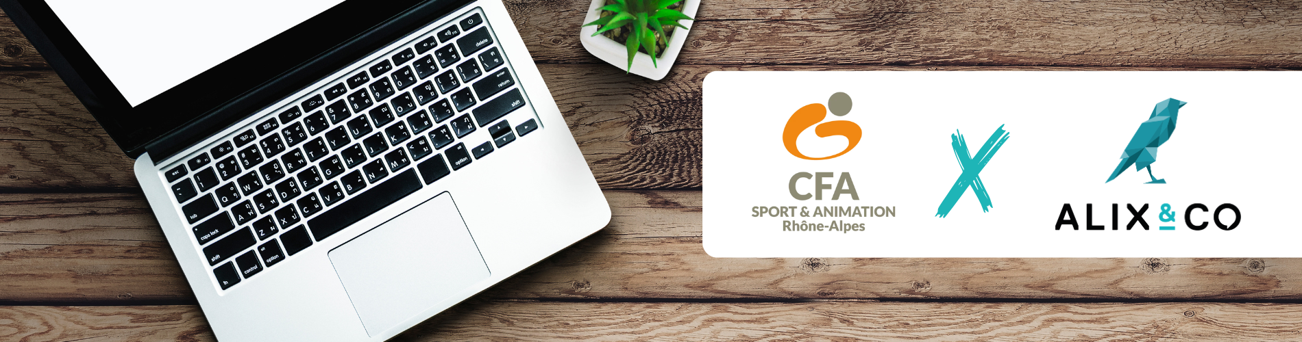 Stratégie SEO cocons sémantiques CFA Sport & Animation